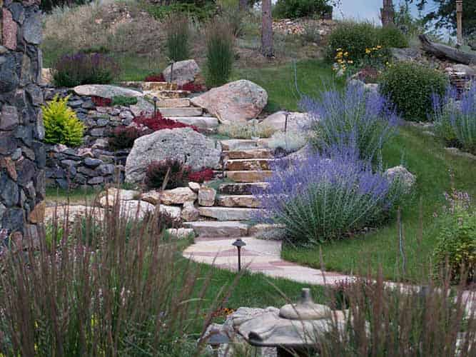 Sustainable & Xeriscape Solutions image