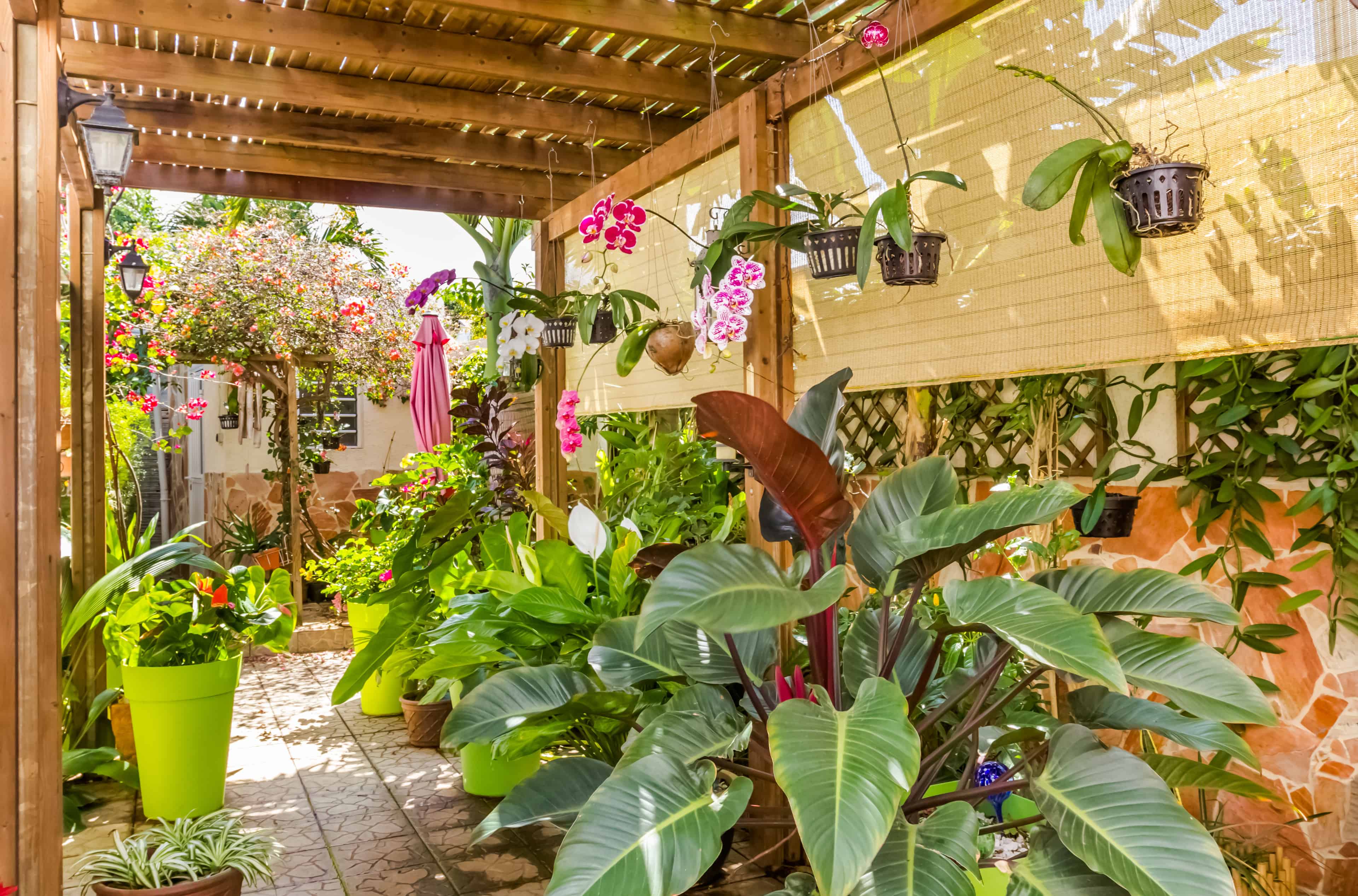 Pergola Design & Build Services image