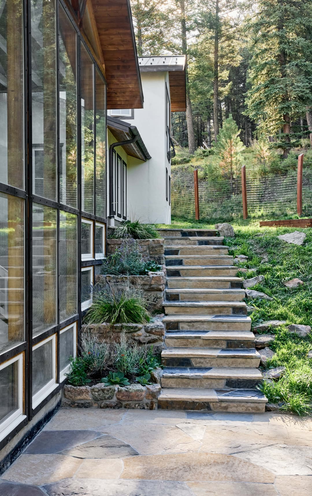 Modern house exterior with stone steps leading through a landscaped garden in a forest setting.