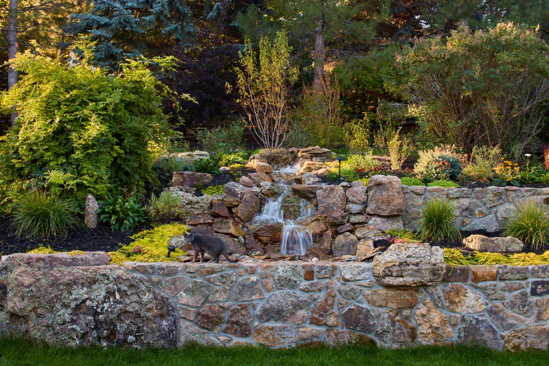 Serene garden with a stone waterfall, lush greenery, and a gray cat exploring the landscape.