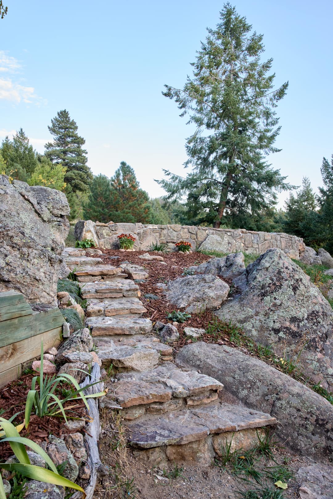 Stone steps leading to a landscaped area with rocks and flowers, surrounded by pine trees.
