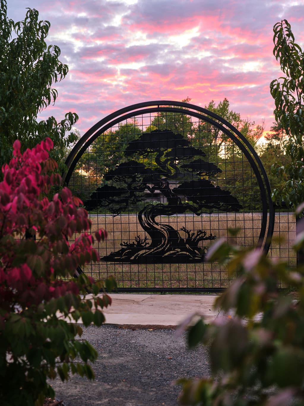 Metal tree gate silhouette against a colorful sunset sky and lush greenery.