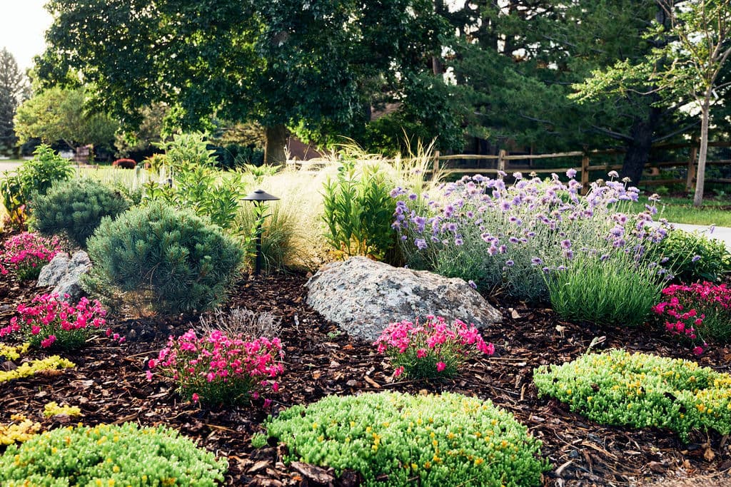 Vibrant flower bed with colorful blooms, rocks, and lush greenery in a landscaped garden.