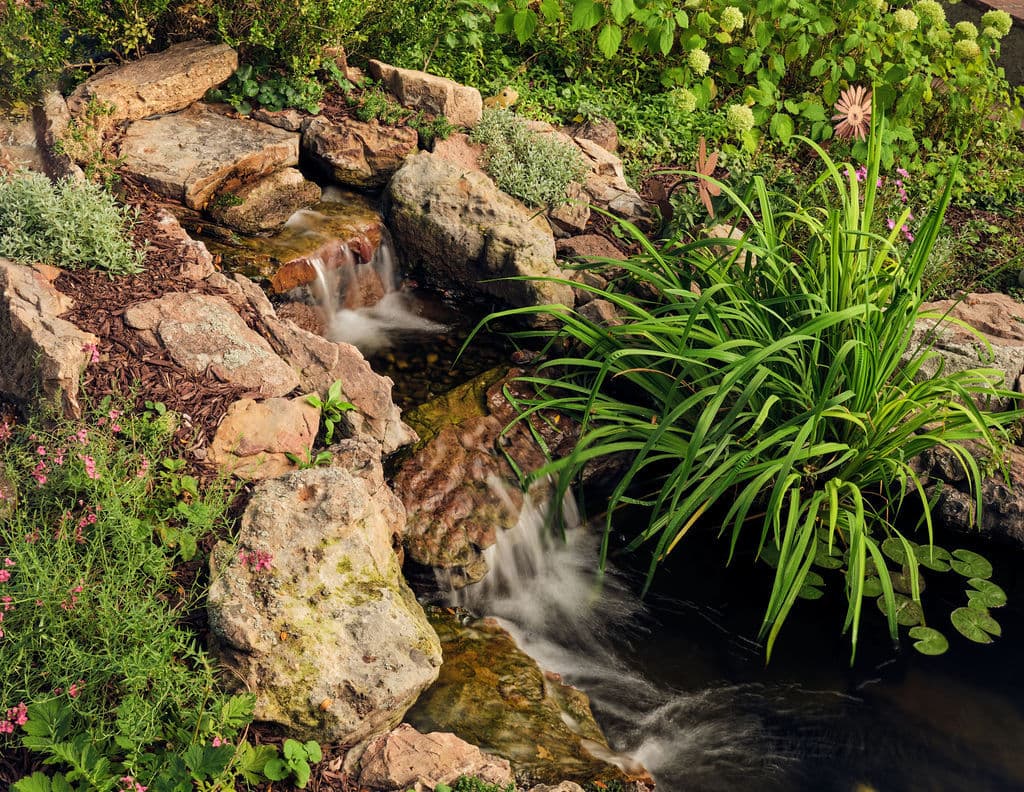 Serene garden pond with flowing water, rocks, and lush green plants.
