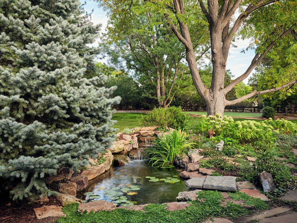 Serene garden with a pond, lush greenery, and vibrant plants under a clear blue sky.