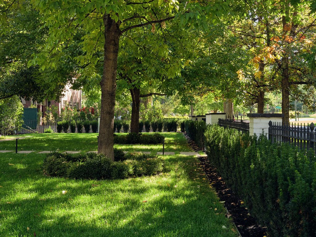 Lush green park with trees, manicured shrubs, and vibrant grass creating a tranquil outdoor space.