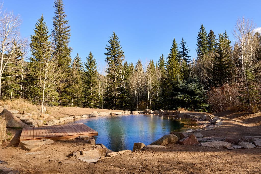 Scenic swimming pond surrounded by evergreen trees and rocky shoreline under a clear blue sky.