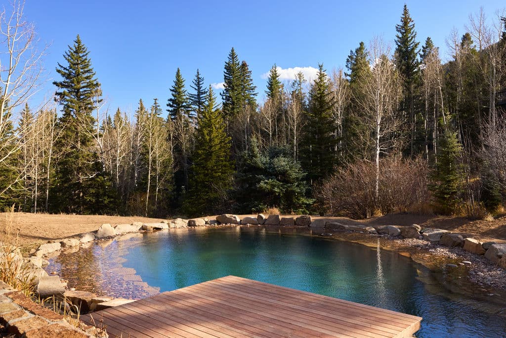 Natural pond surrounded by tall trees and a wooden deck under a clear blue sky.
