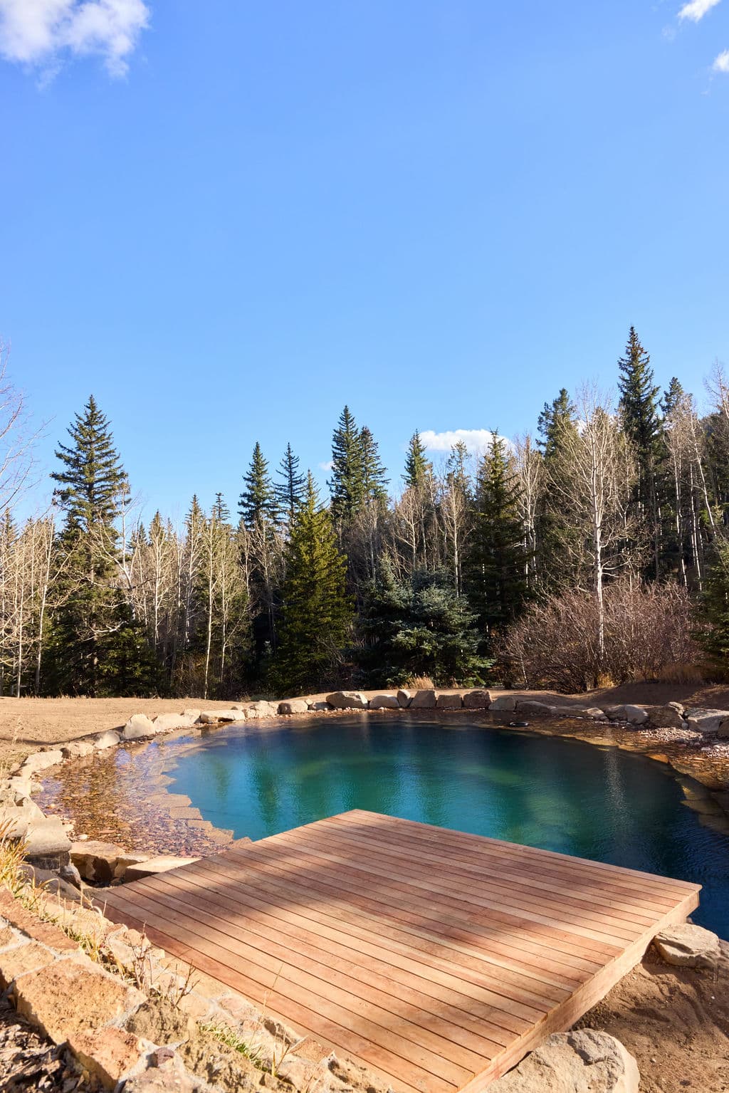 Natural swimming pool surrounded by trees and clear blue sky, ideal for outdoor relaxation.