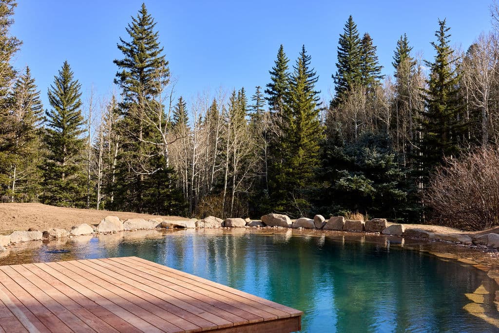 Serene natural pool surrounded by lush evergreen trees and clear blue sky.