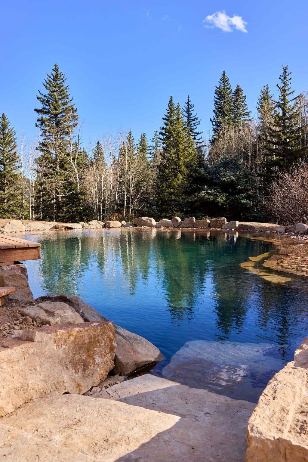 Tranquil natural pool surrounded by evergreen trees and rocky landscape under a clear blue sky.